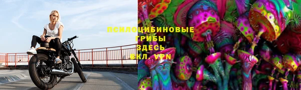 МДПВ Армянск