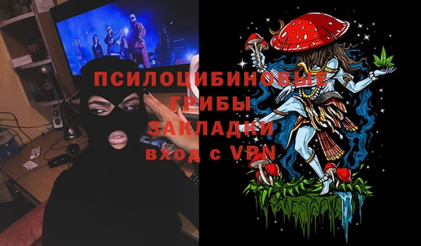 тгк Арсеньев
