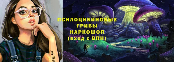 тгк Арсеньев